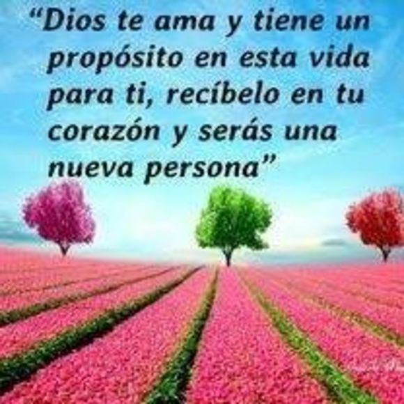 marlene_mojica